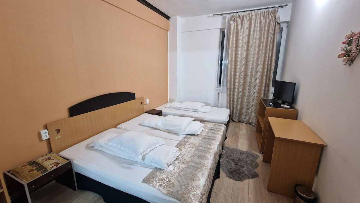 Pensiunea NYS - foto 2