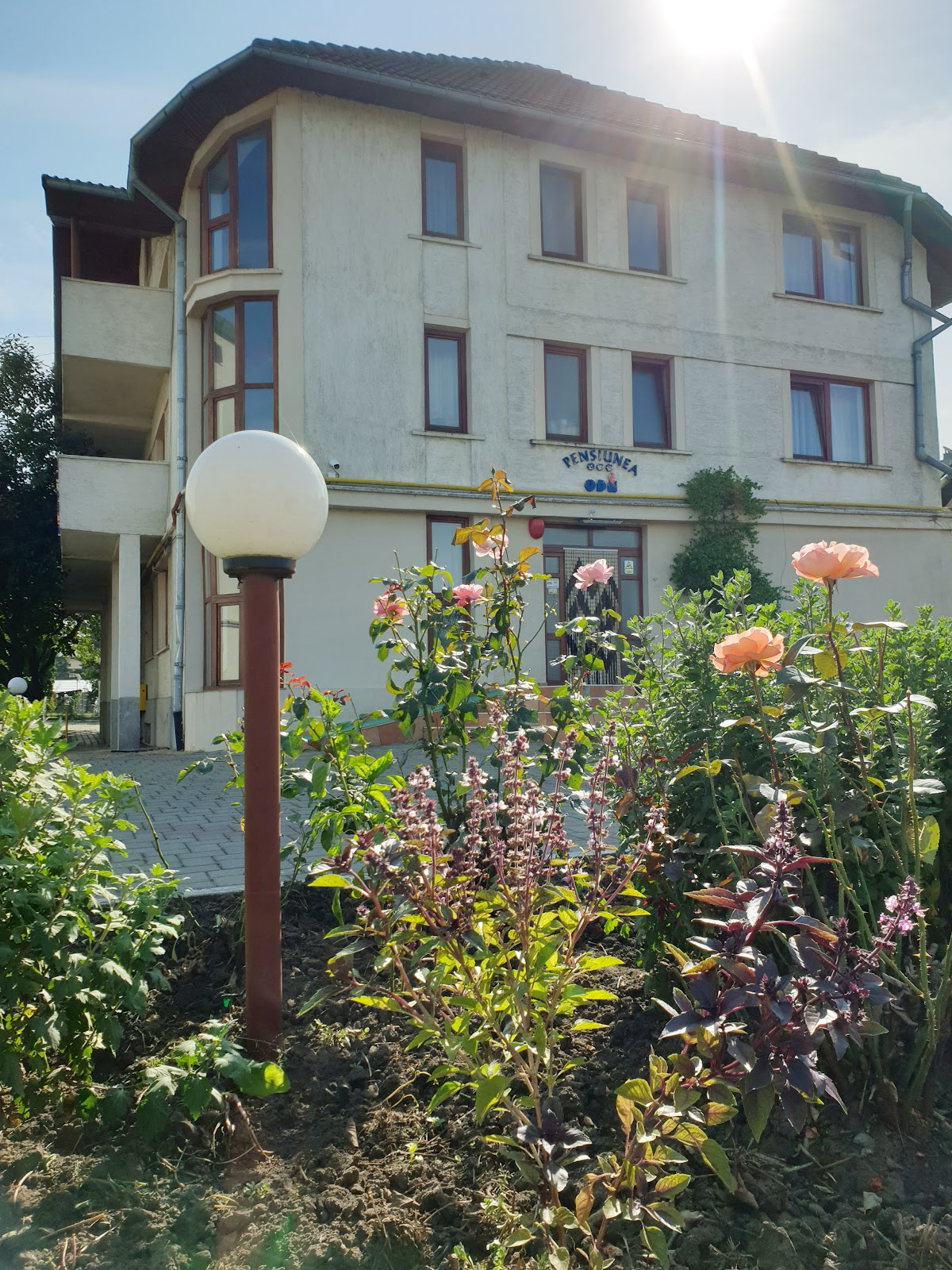 Pensiunea ODN Suceava