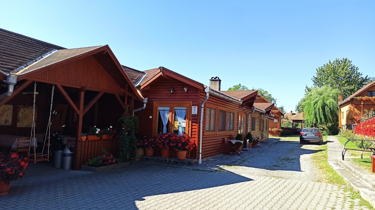 Pensiunea Olga