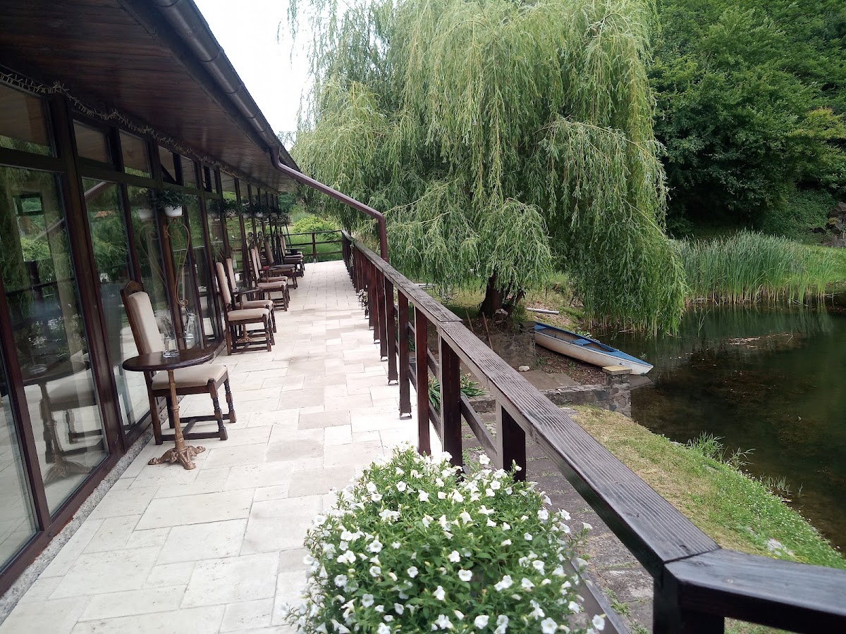 Pensiunea Onyx - foto 1