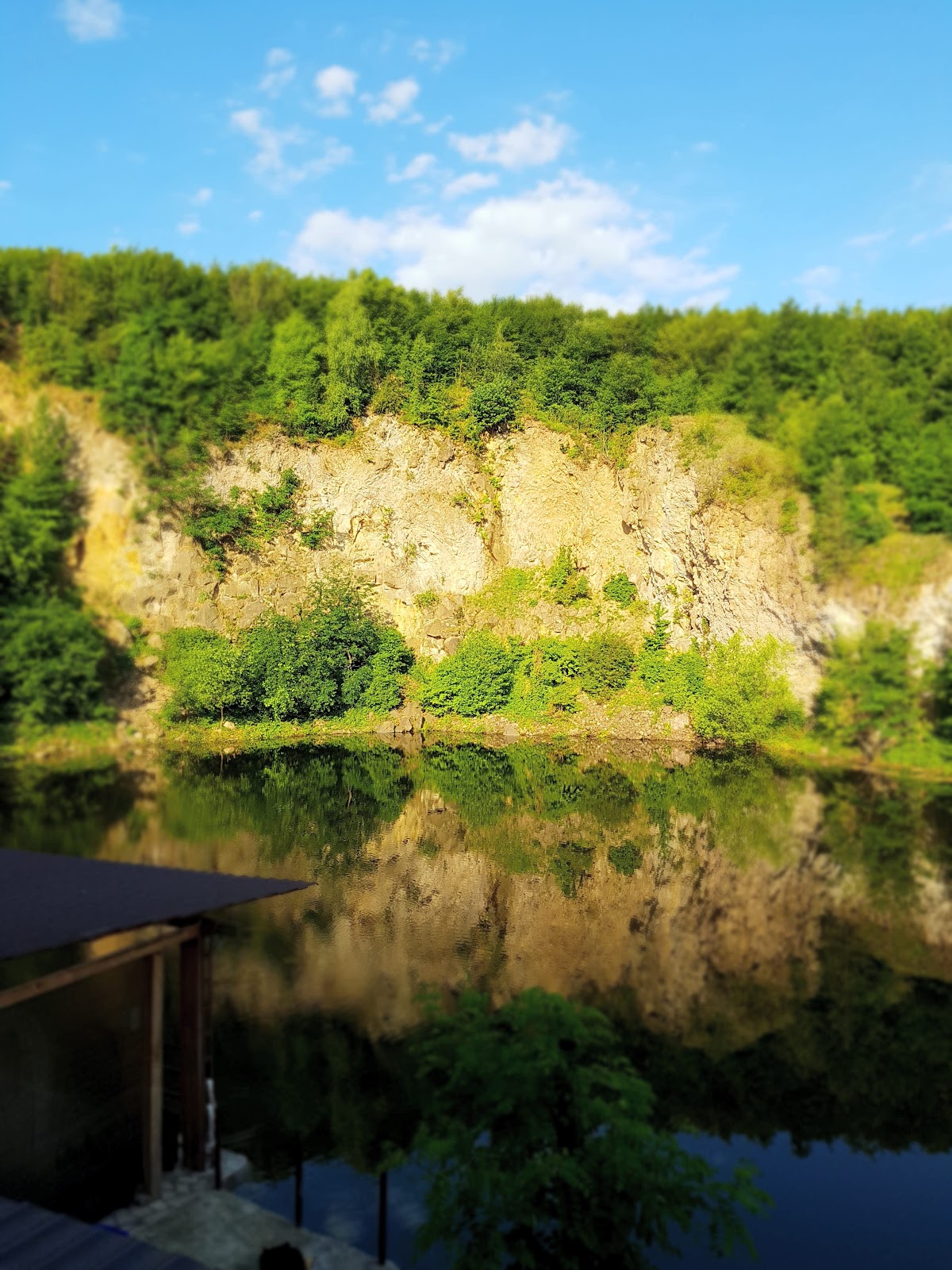 Pensiunea Onyx - foto 2