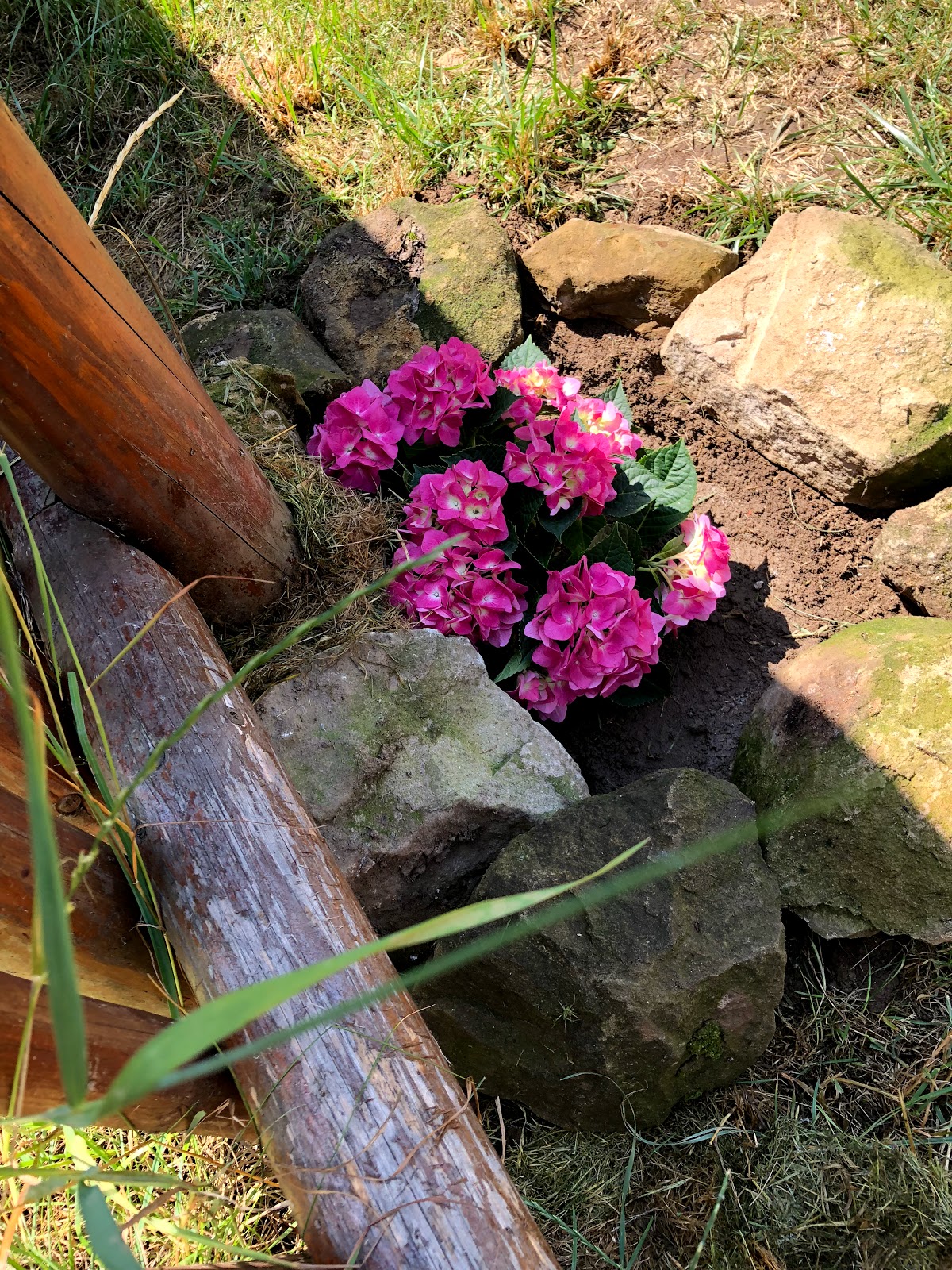 Pensiunea Oppidum - foto 4