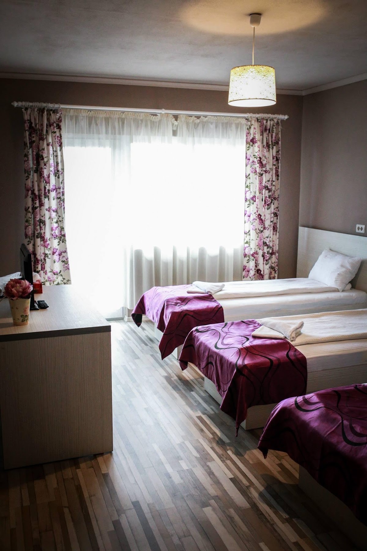 Pensiunea Oxana - foto 2