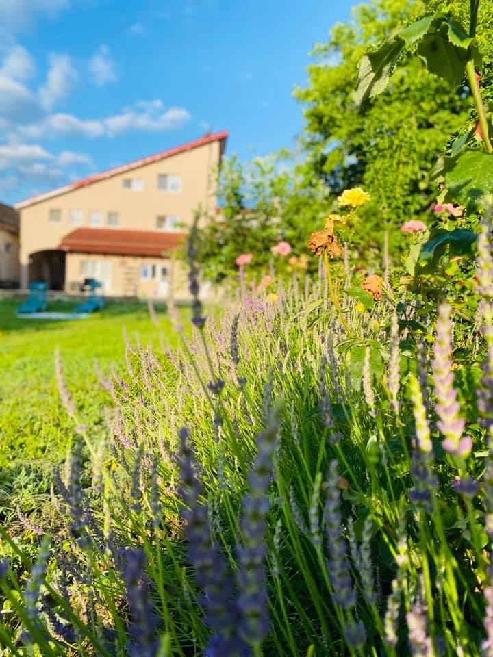 Pensiunea Oxana - foto 4