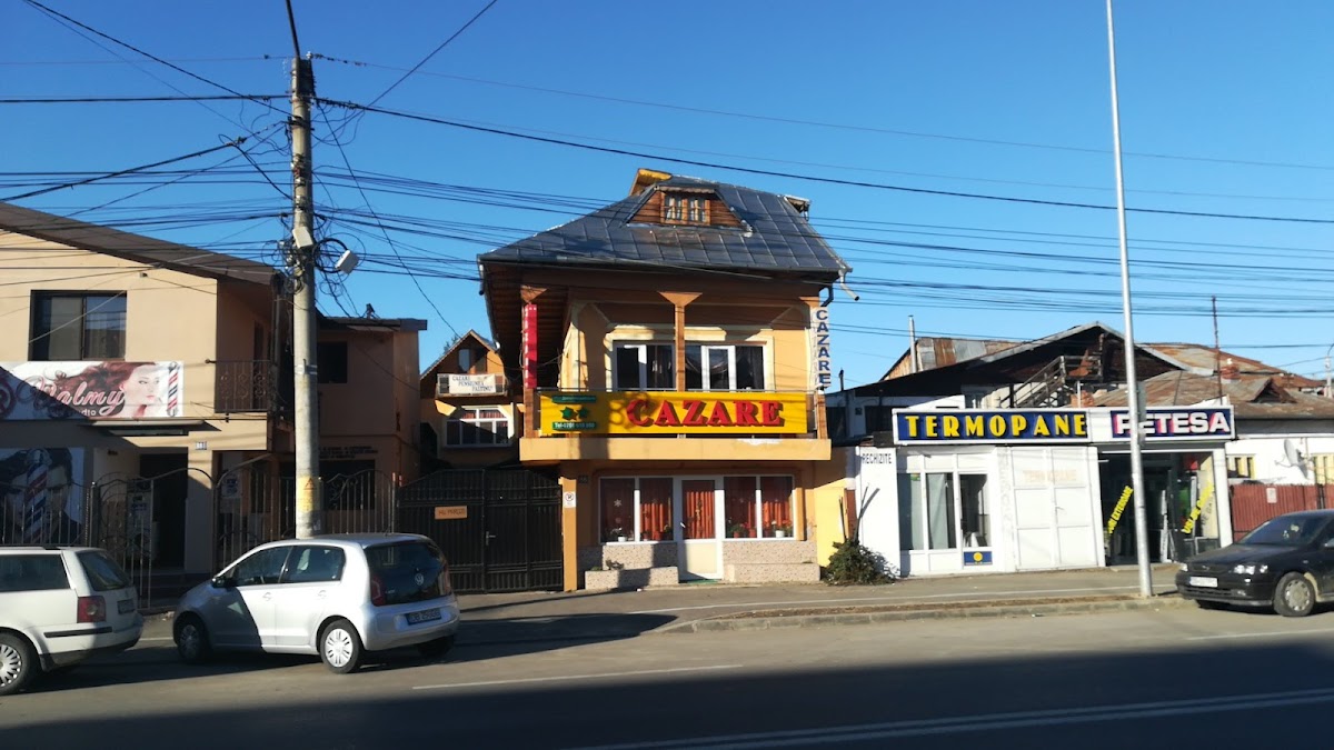 Pensiunea Paltinu