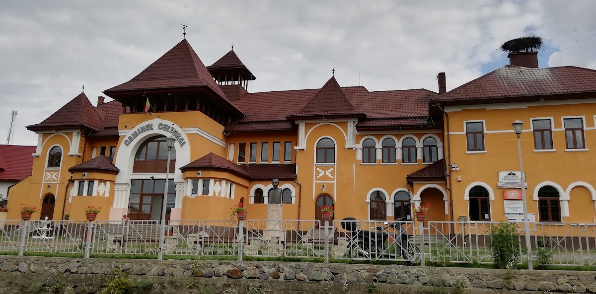 Pensiunea Phoenix Rășinari - foto 1