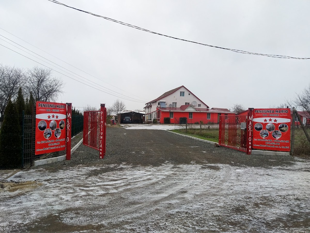 Pensiunea & Pizzeria Mario - foto 1