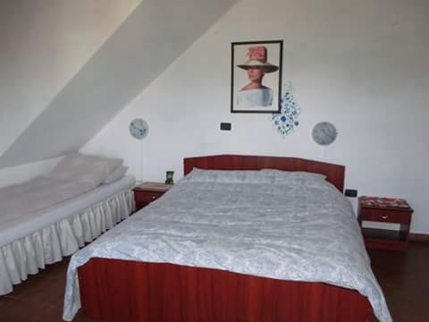 Pensiunea & Pizzeria Mario - foto 2