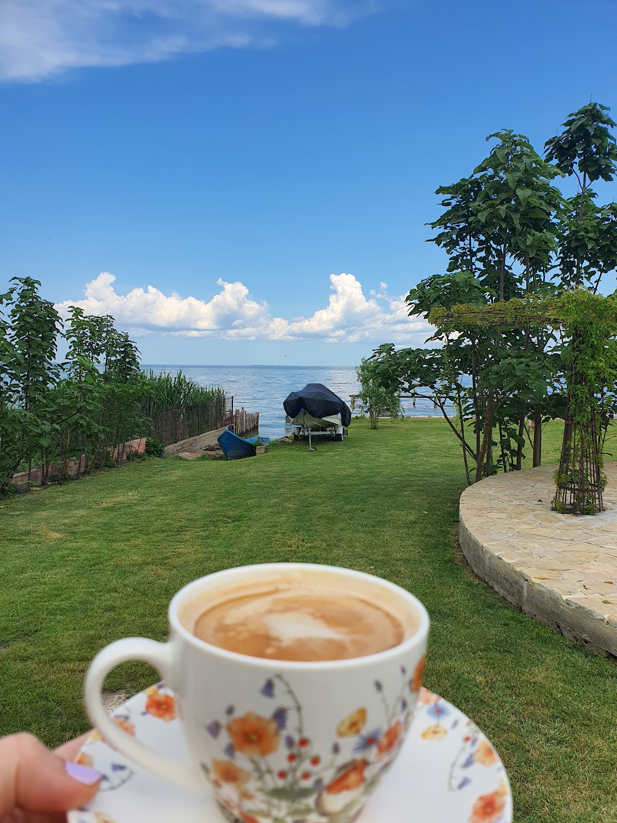 Pensiunea Poarta Apelor - foto 5