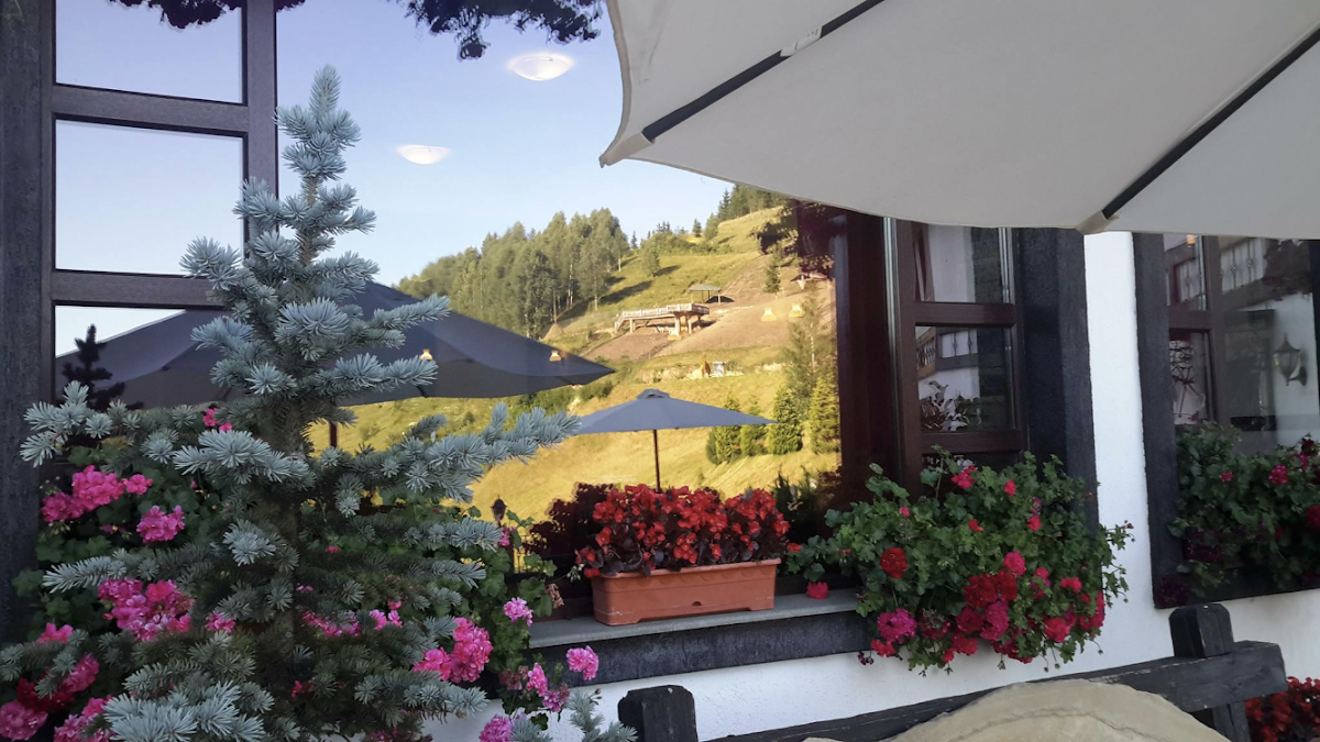 Pensiunea Poiana Izvoarelor - foto 5