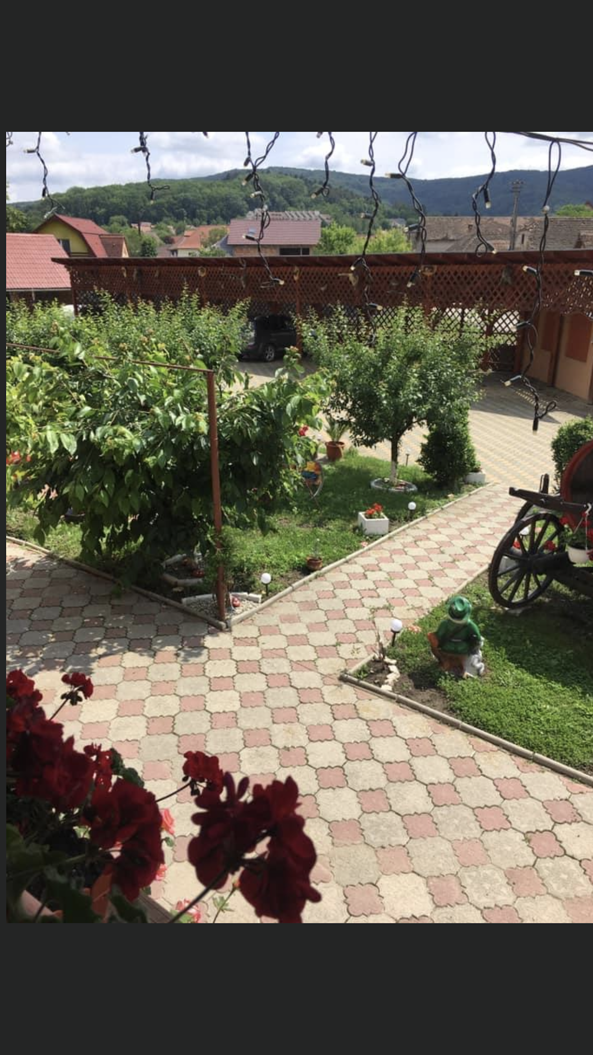 Pensiunea Polyana Bazna - foto 1