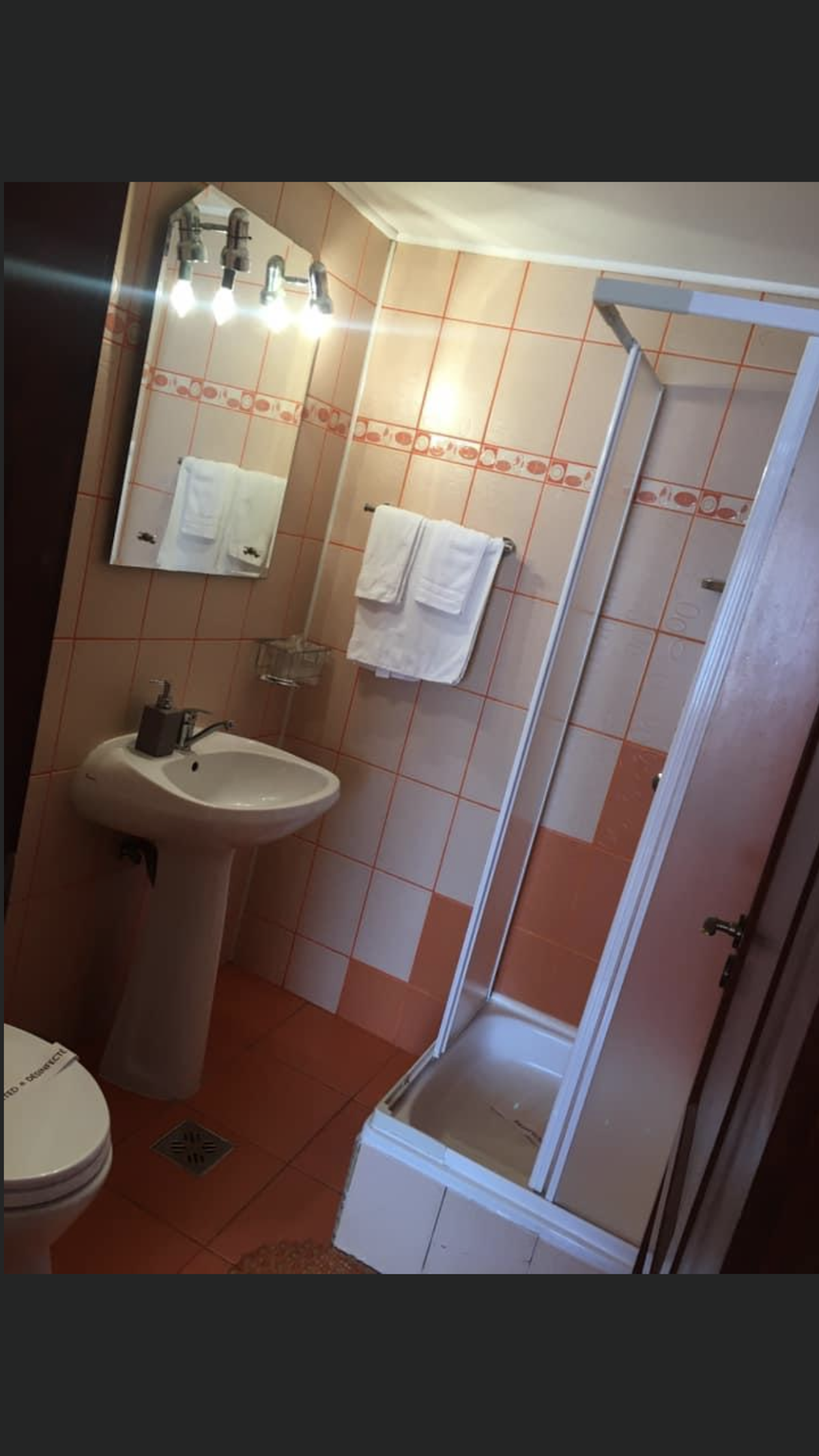 Pensiunea Polyana Bazna - foto 3