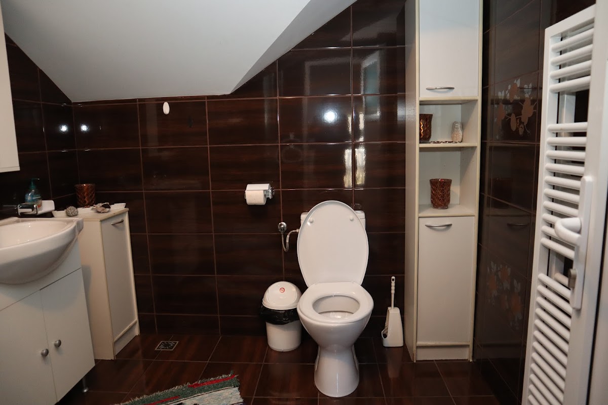 Pensiunea Potcovaru - foto 3