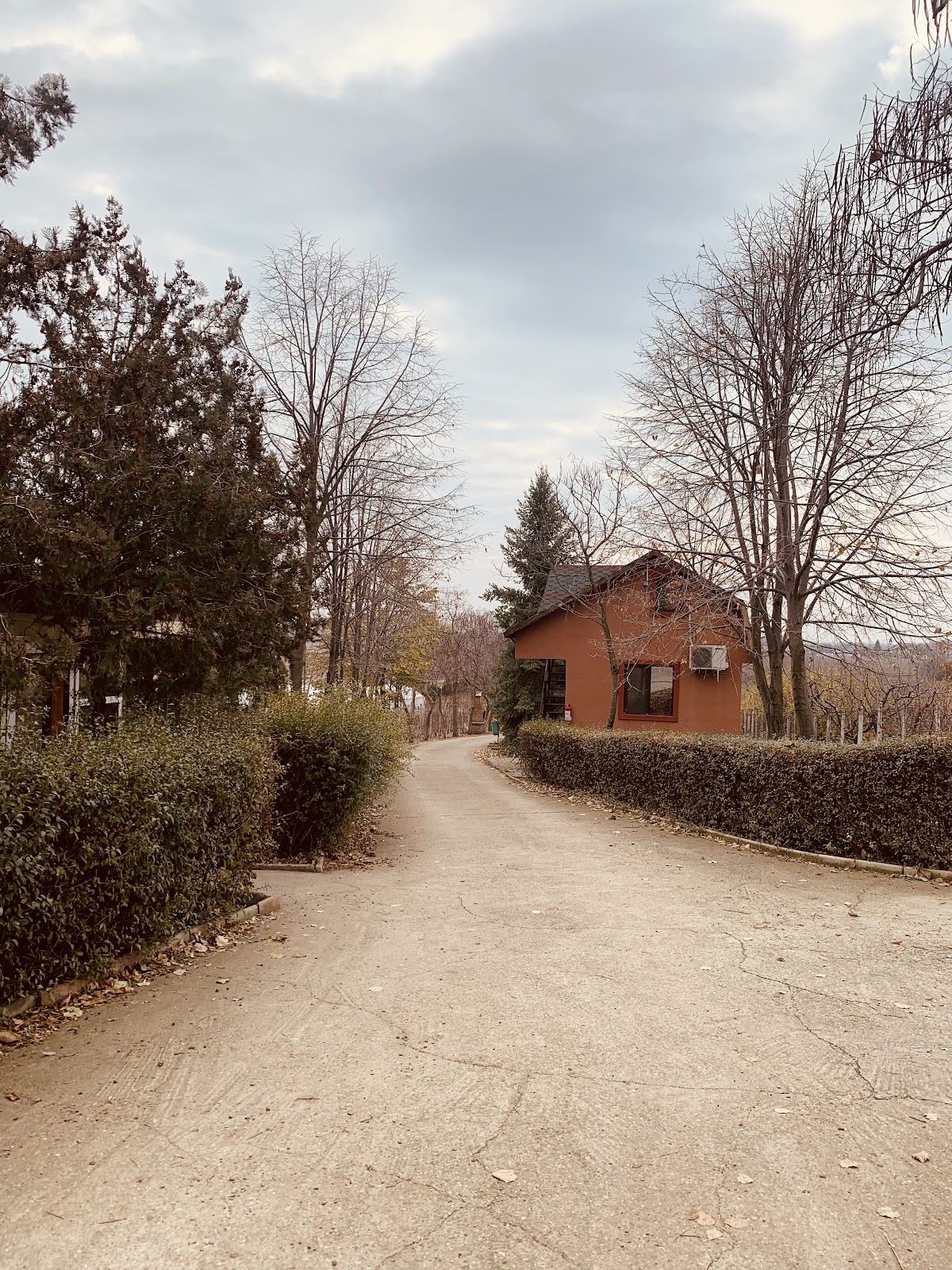 PENSIUNEA PRIVIGHETOAREA, Mărăcineni