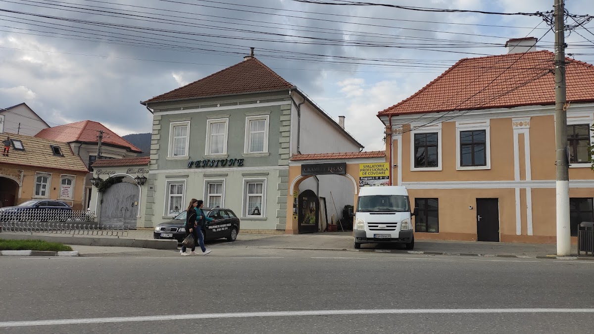 Pensiunea Puiu Popa