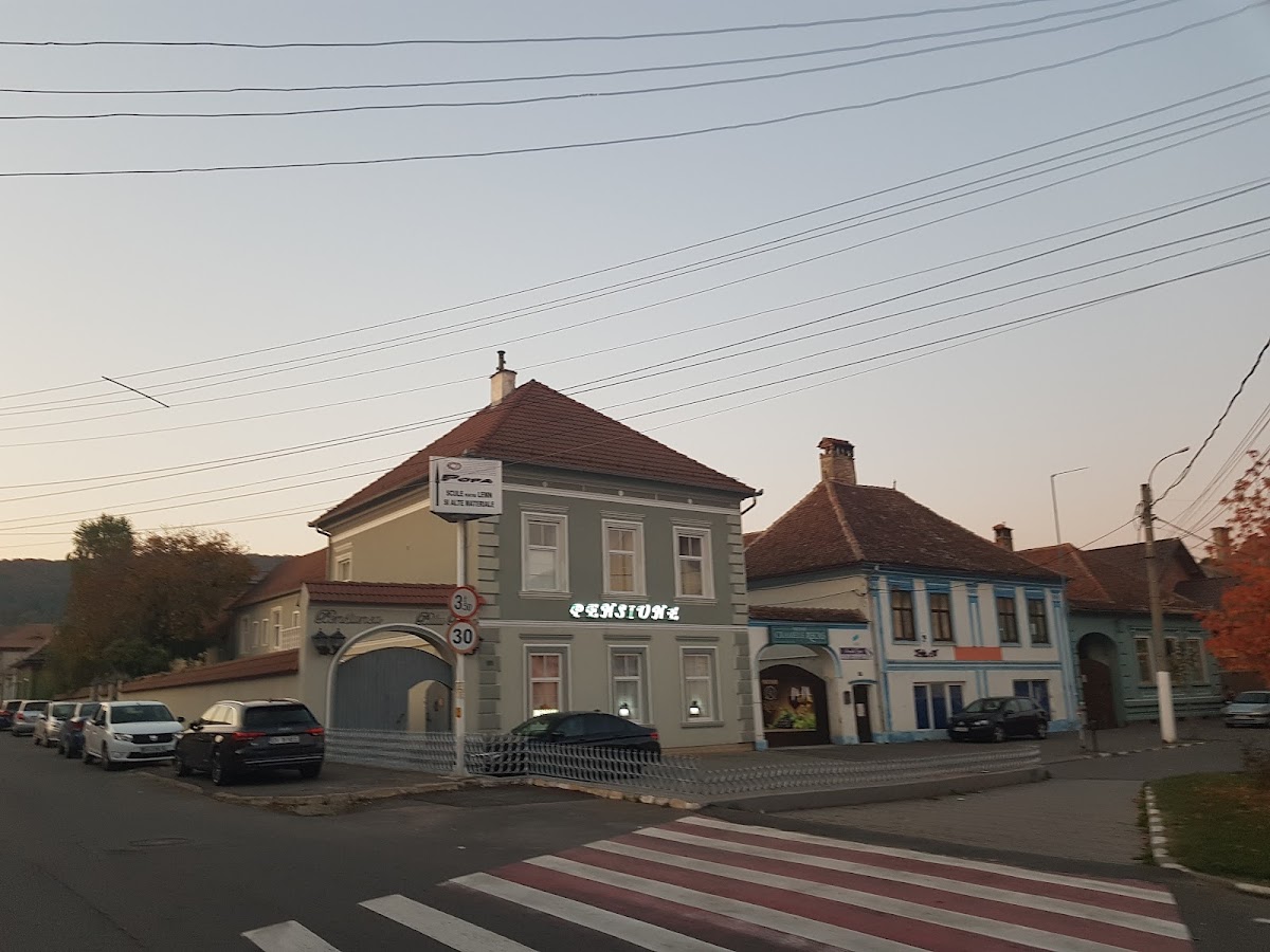 Pensiunea Puiu Popa