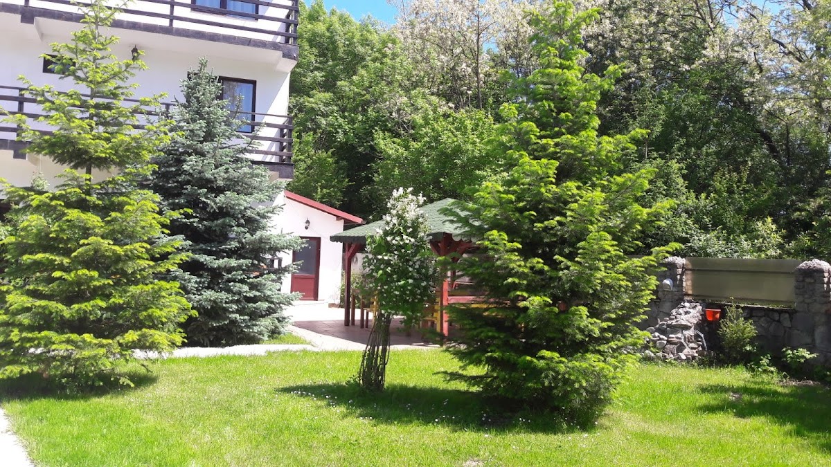 Pensiunea Q Fieni - foto 4