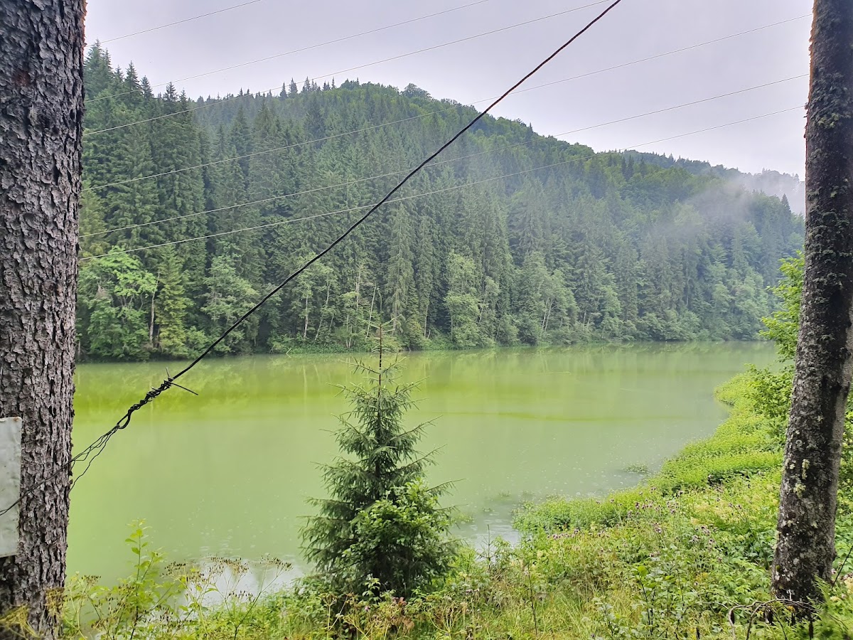 Pensiunea Q Fieni - foto 5