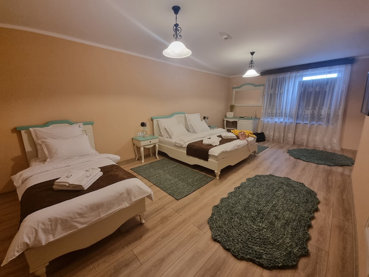 Pensiunea Rai Romanesc - foto 2