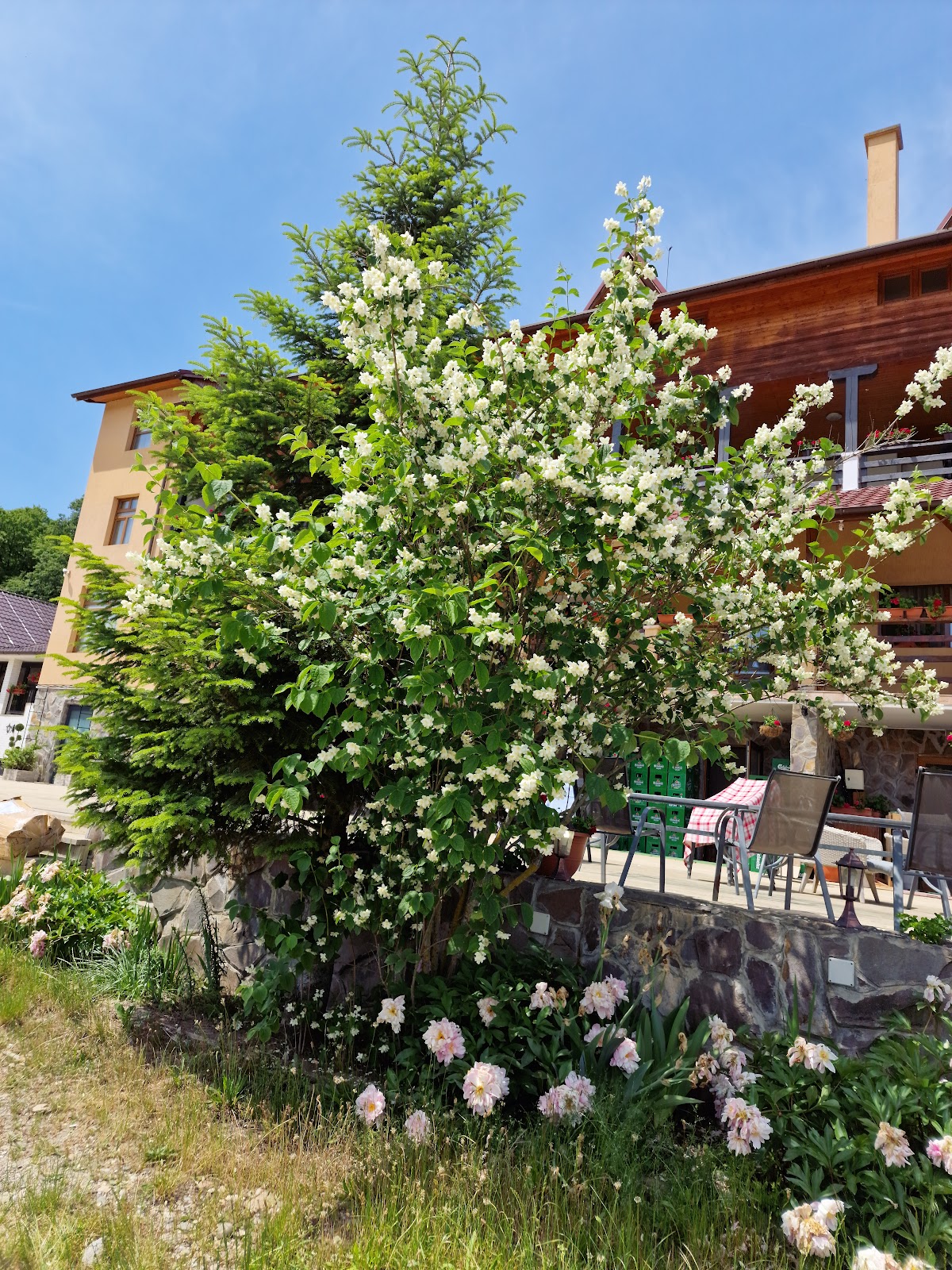 Pensiunea Randra - foto 1