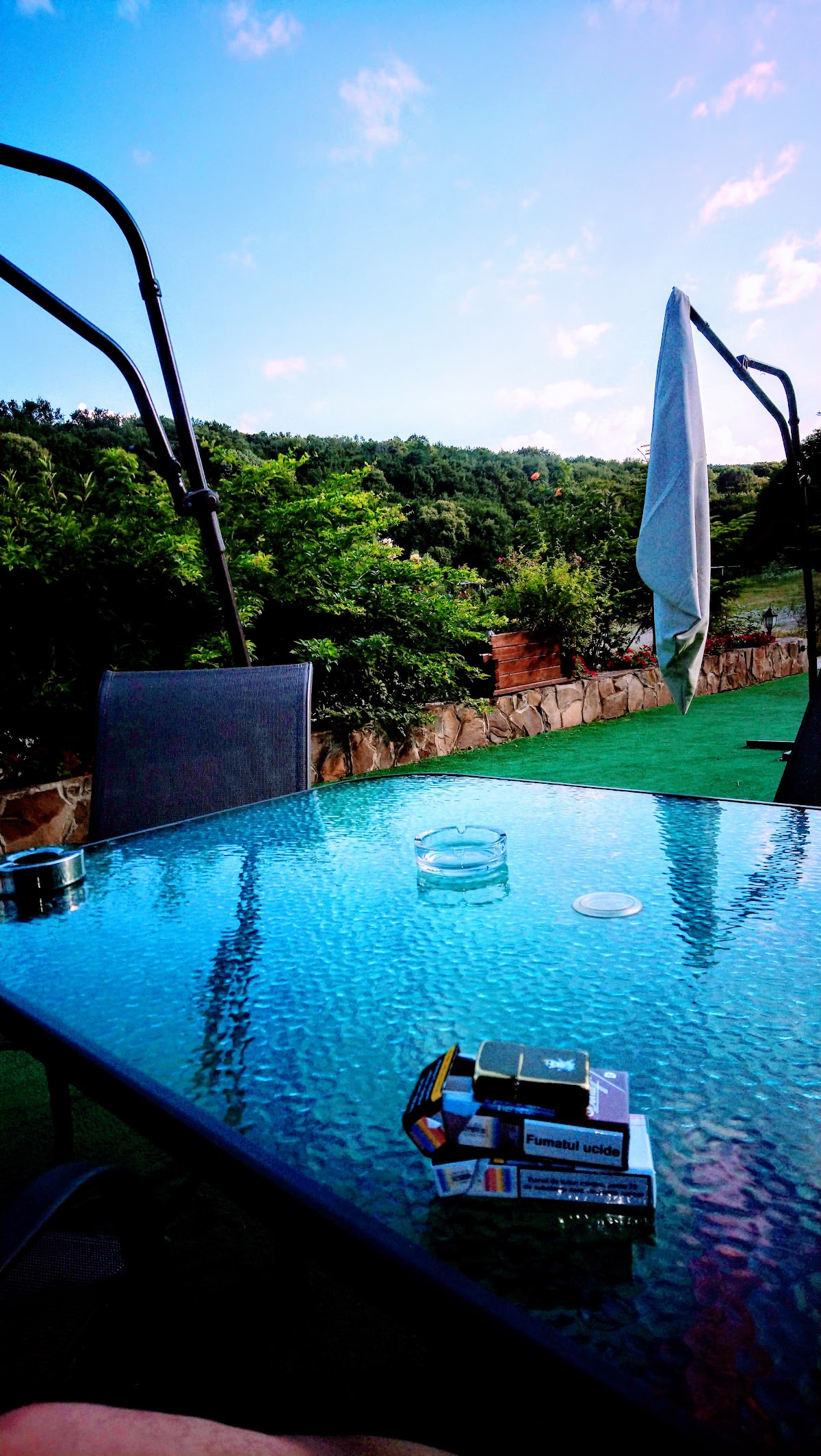 Pensiunea Randra - foto 3