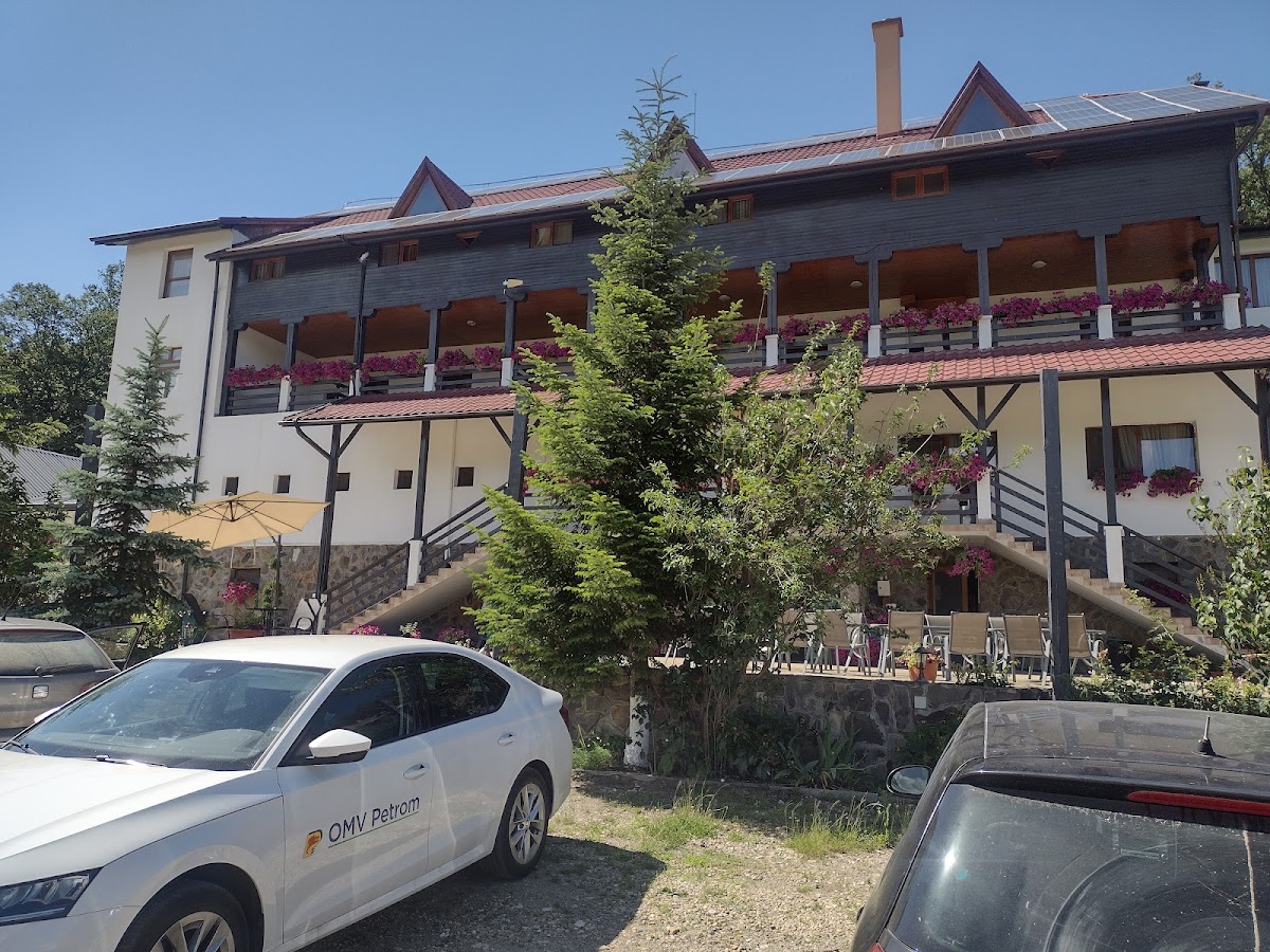 Pensiunea Randra - foto 4