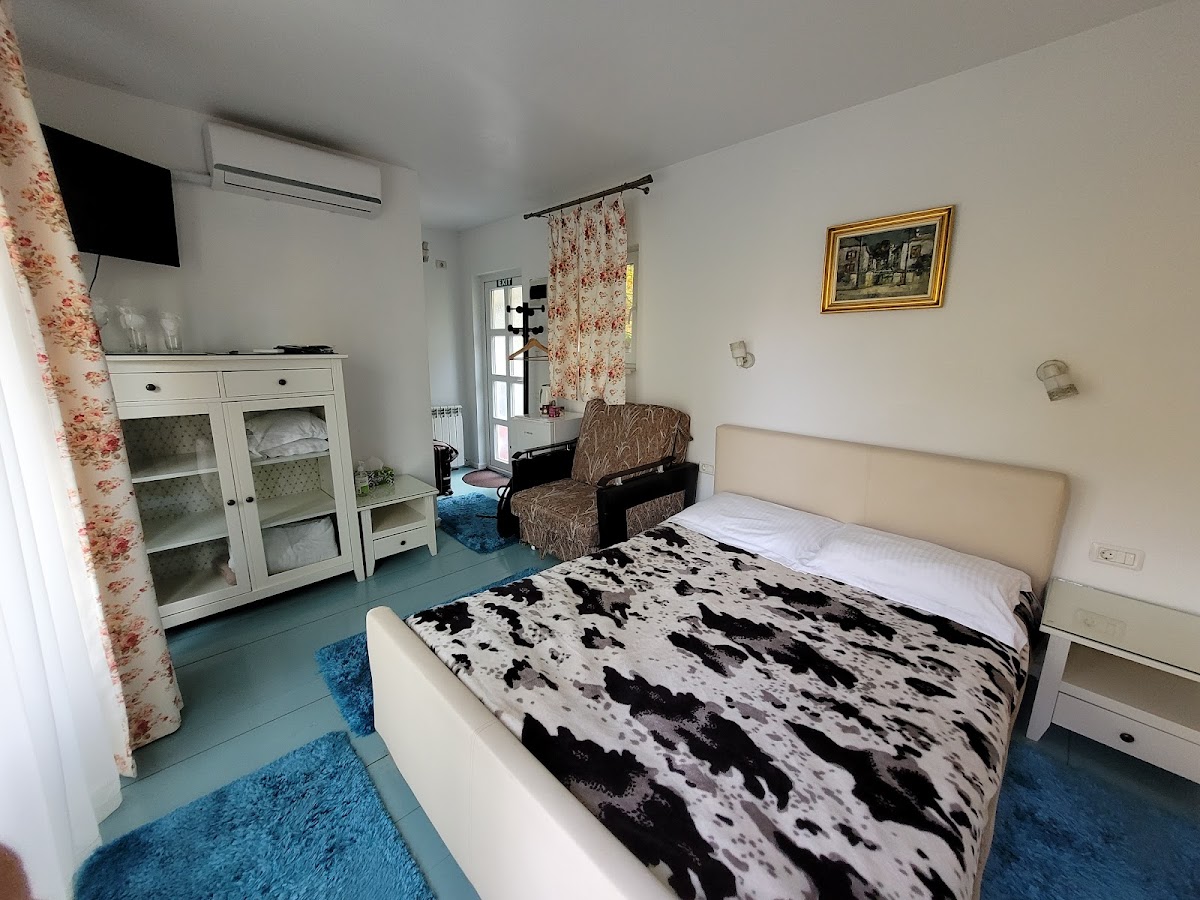 Pensiunea Rapsodia - foto 2