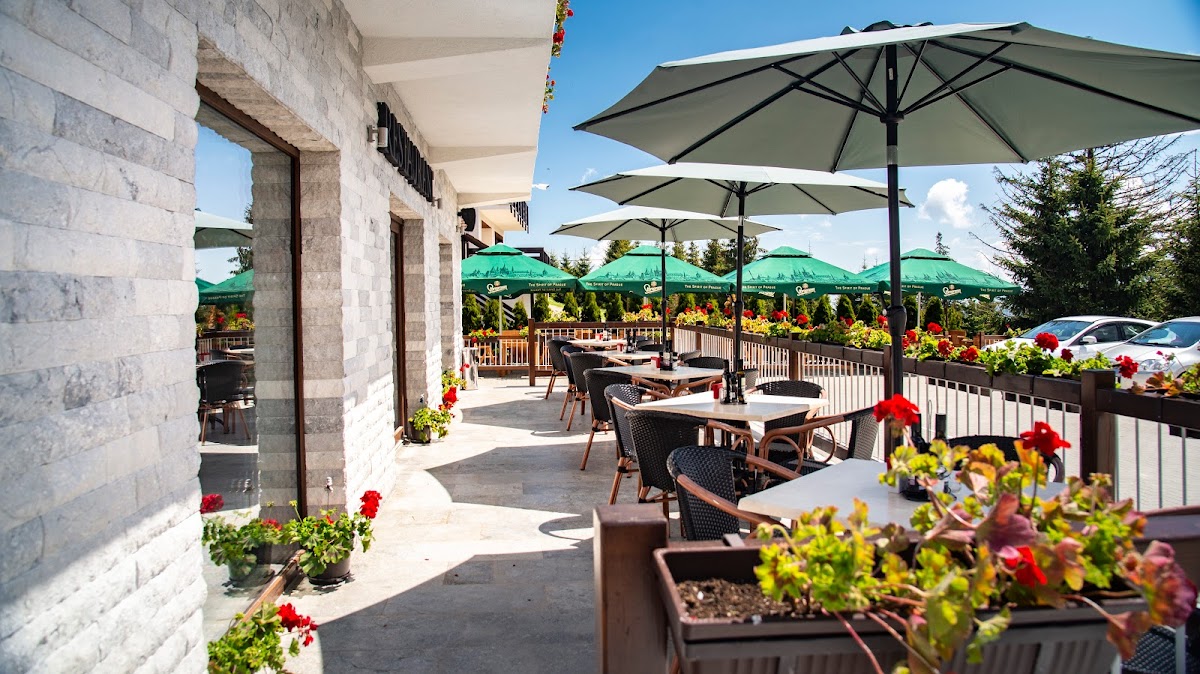 Pensiunea RARA PALTINIS - foto 1