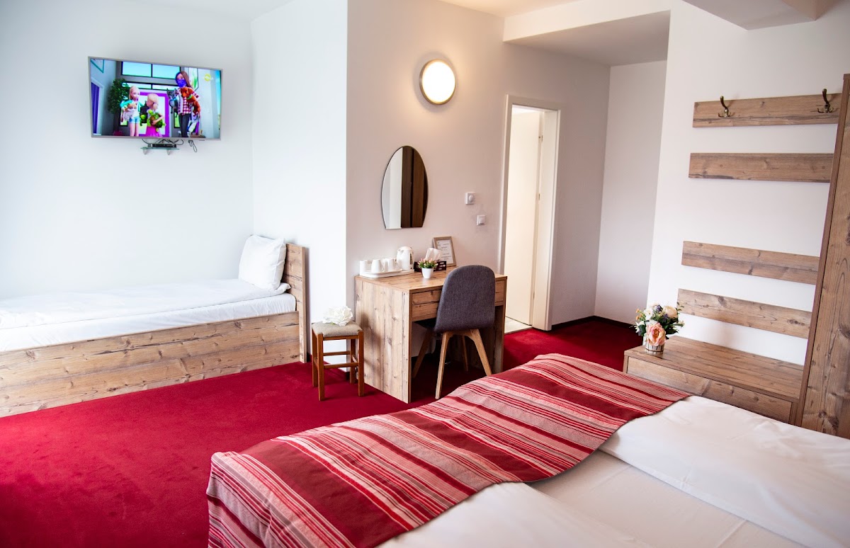 Pensiunea RARA PALTINIS - foto 2