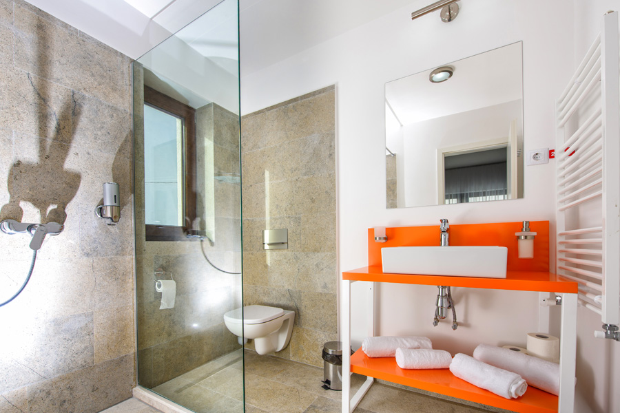 Pensiunea RARA PALTINIS - foto 3