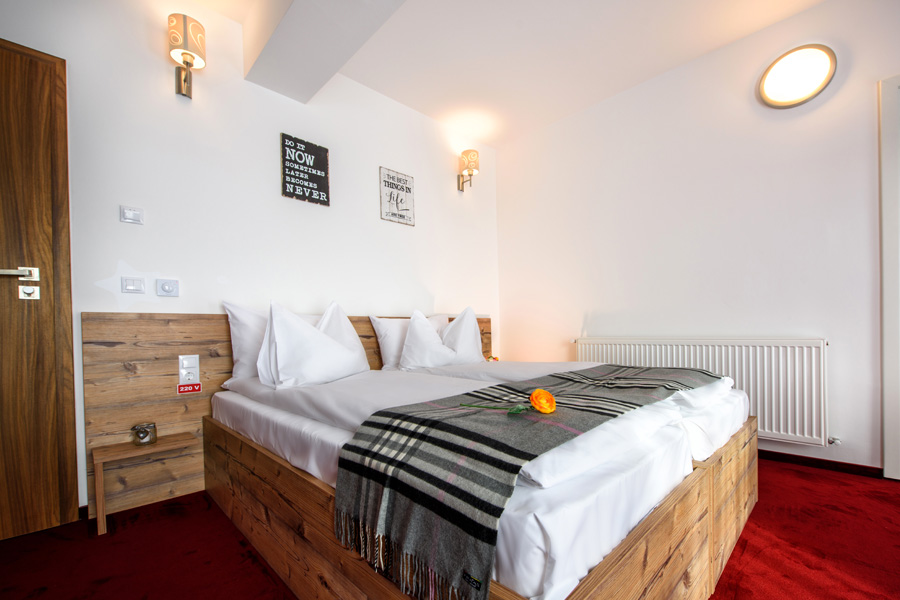 Pensiunea RARA PALTINIS - foto 4