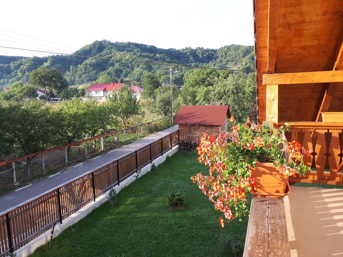 Pensiunea Rareș