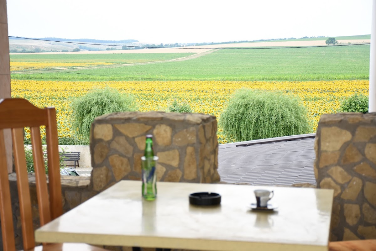 Pension/Restaurant Royal Castle Pascani