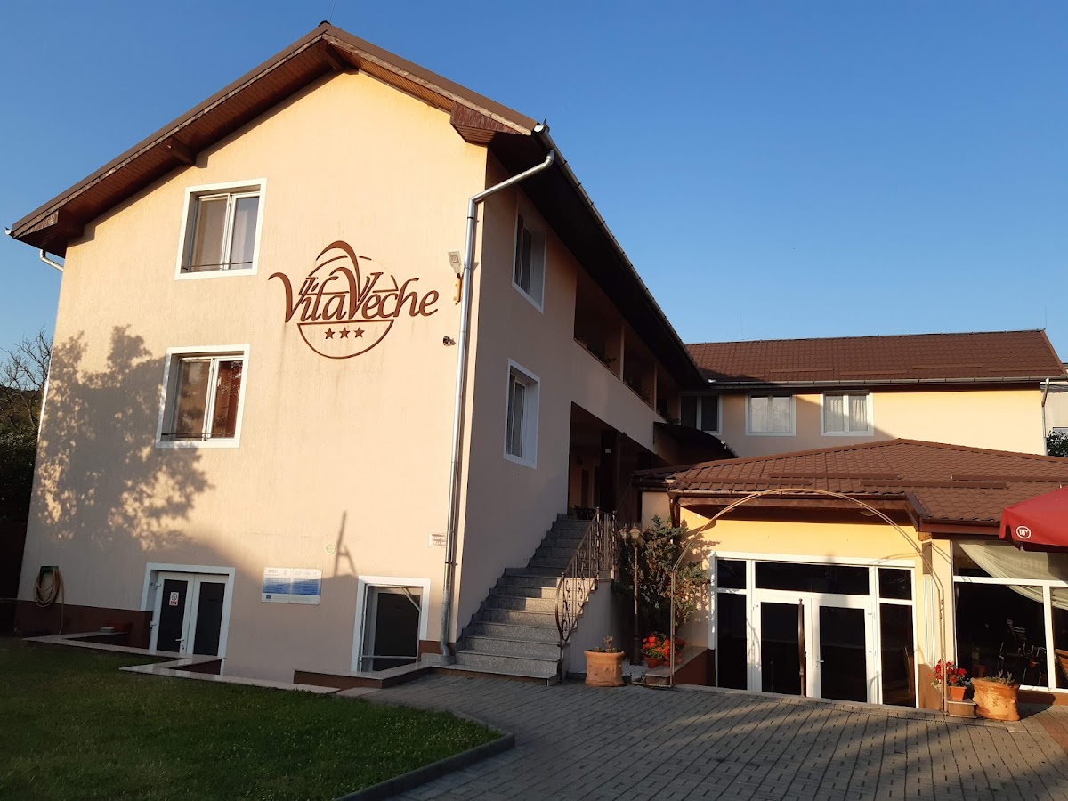 Pensión & Restaurante „Vila Veche” - foto 4