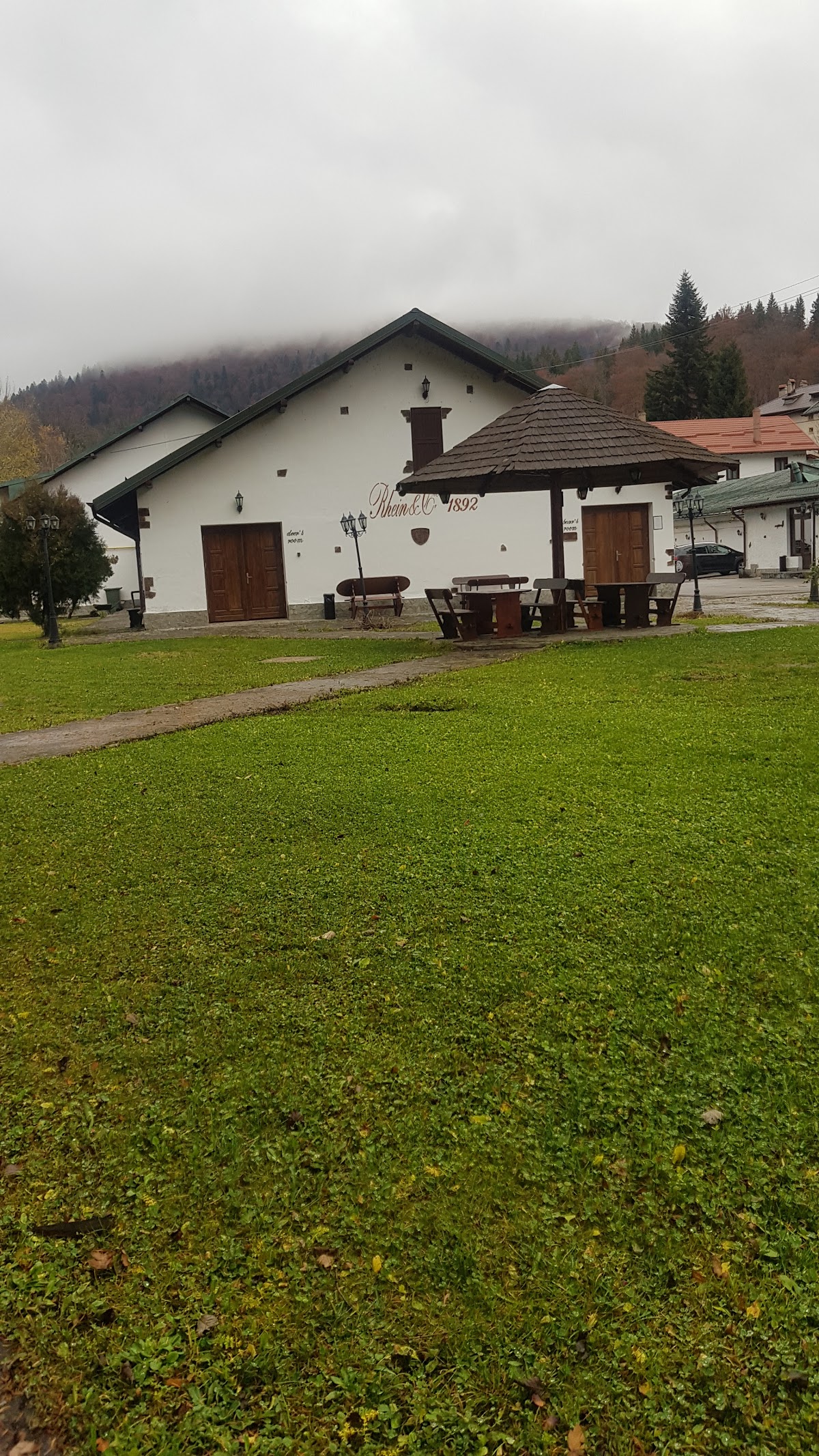 Pensiunea Rhein - foto 3