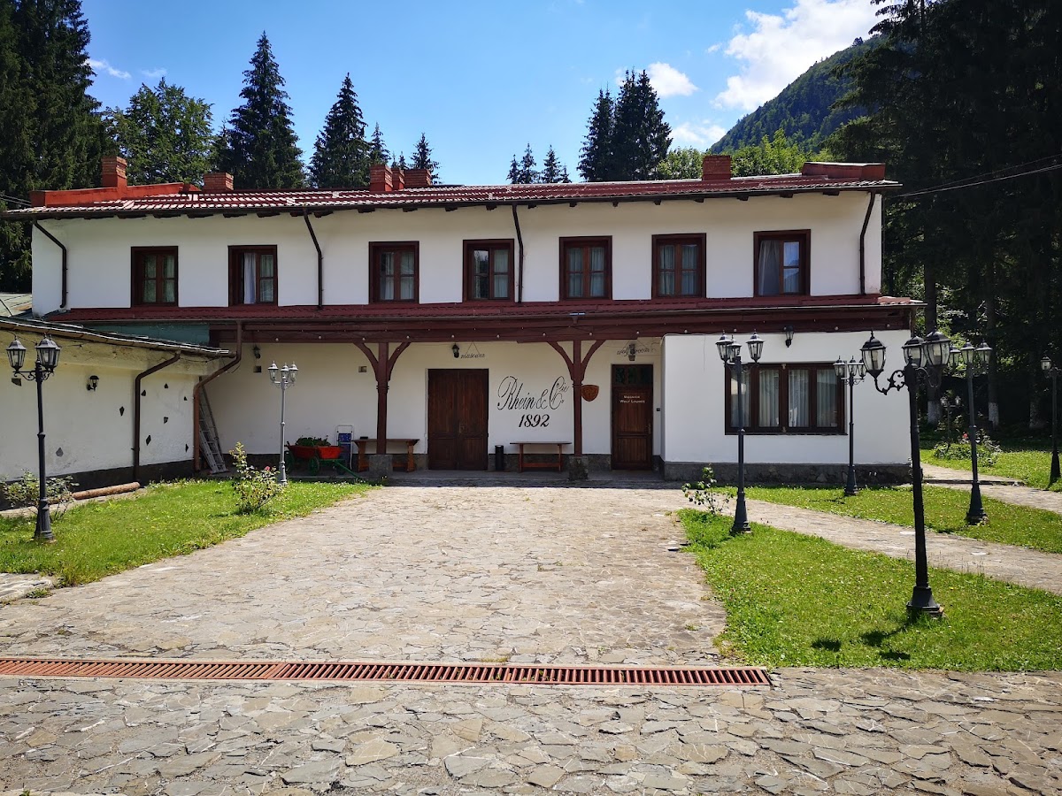 Pensiunea Rhein - foto 4