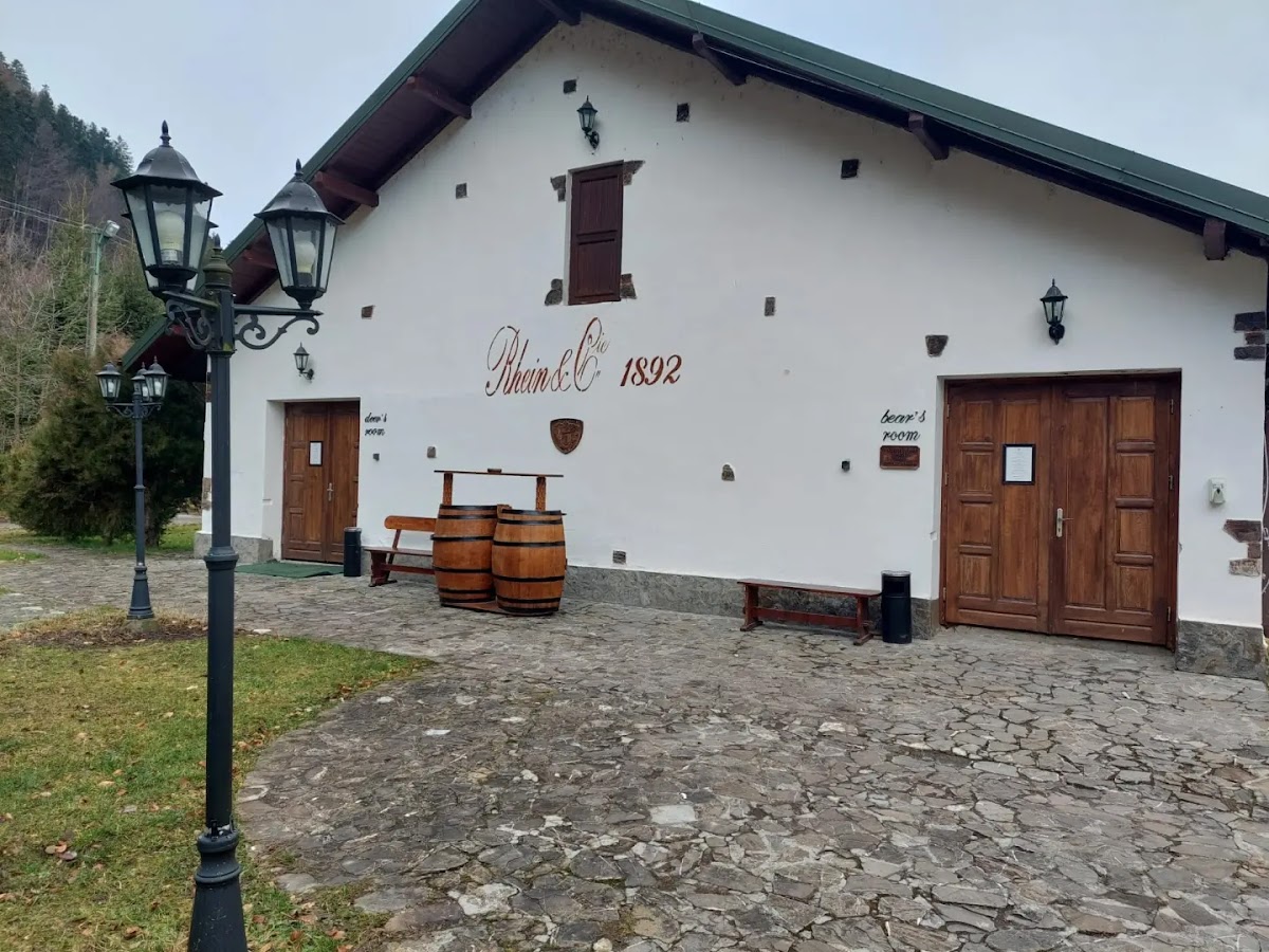 Pensiunea Rhein - foto 5