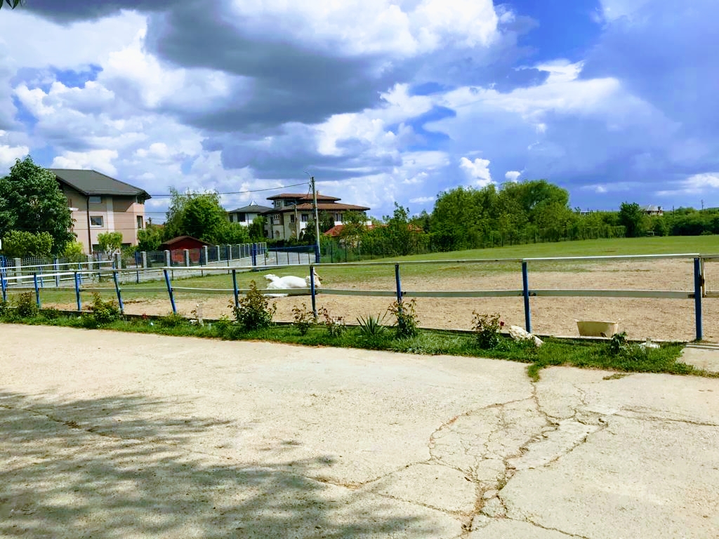 Pensione Rider Club