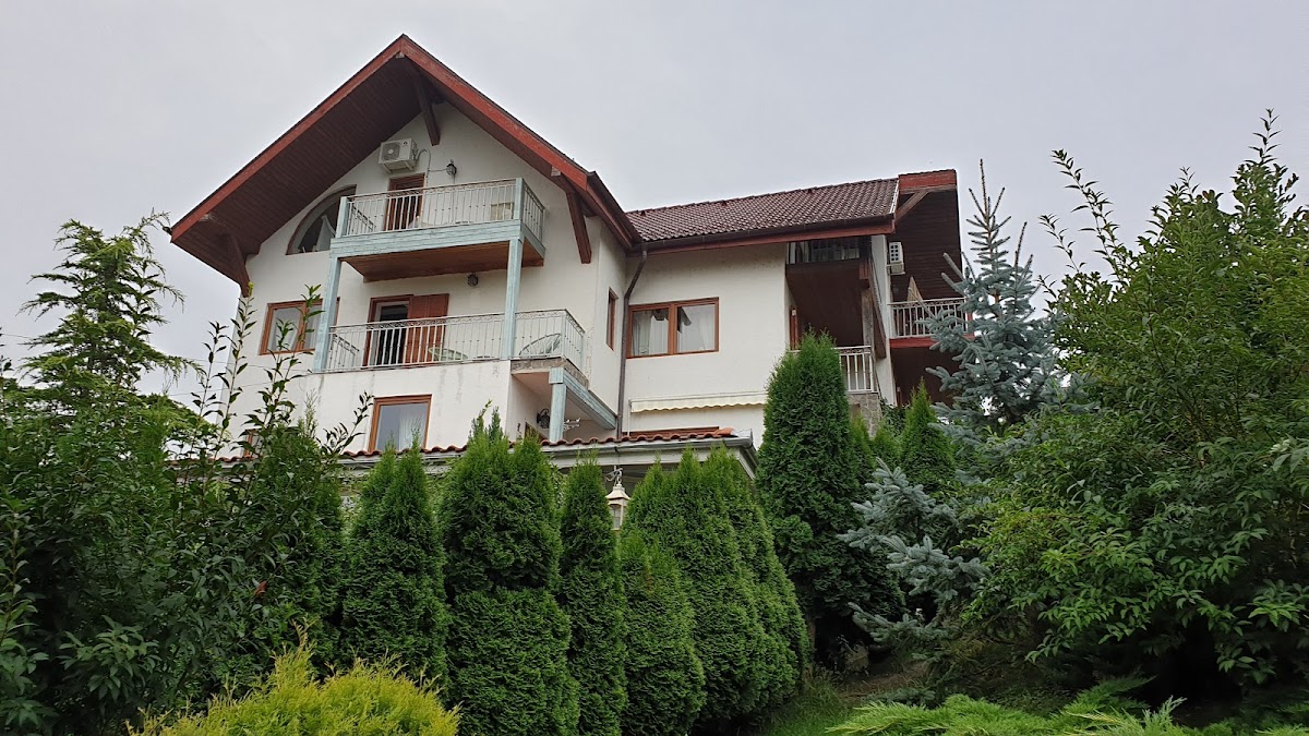 Pensiunea Romantic - foto 3