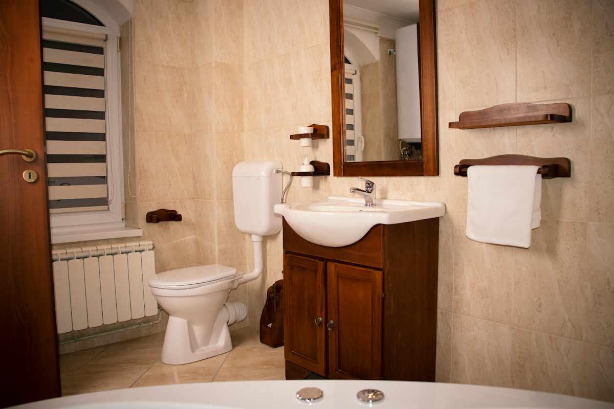 Pensiunea Romantic Paltinis - foto 3