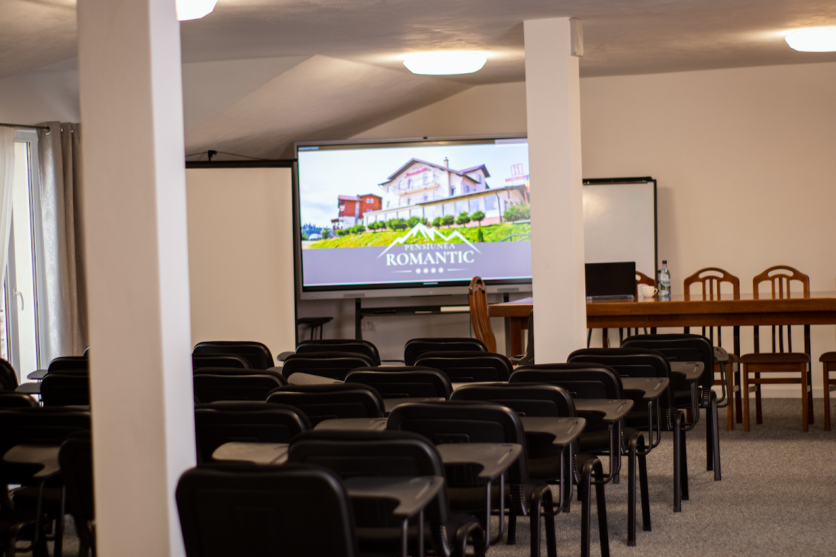 Pensiunea Romantic Paltinis - foto 4