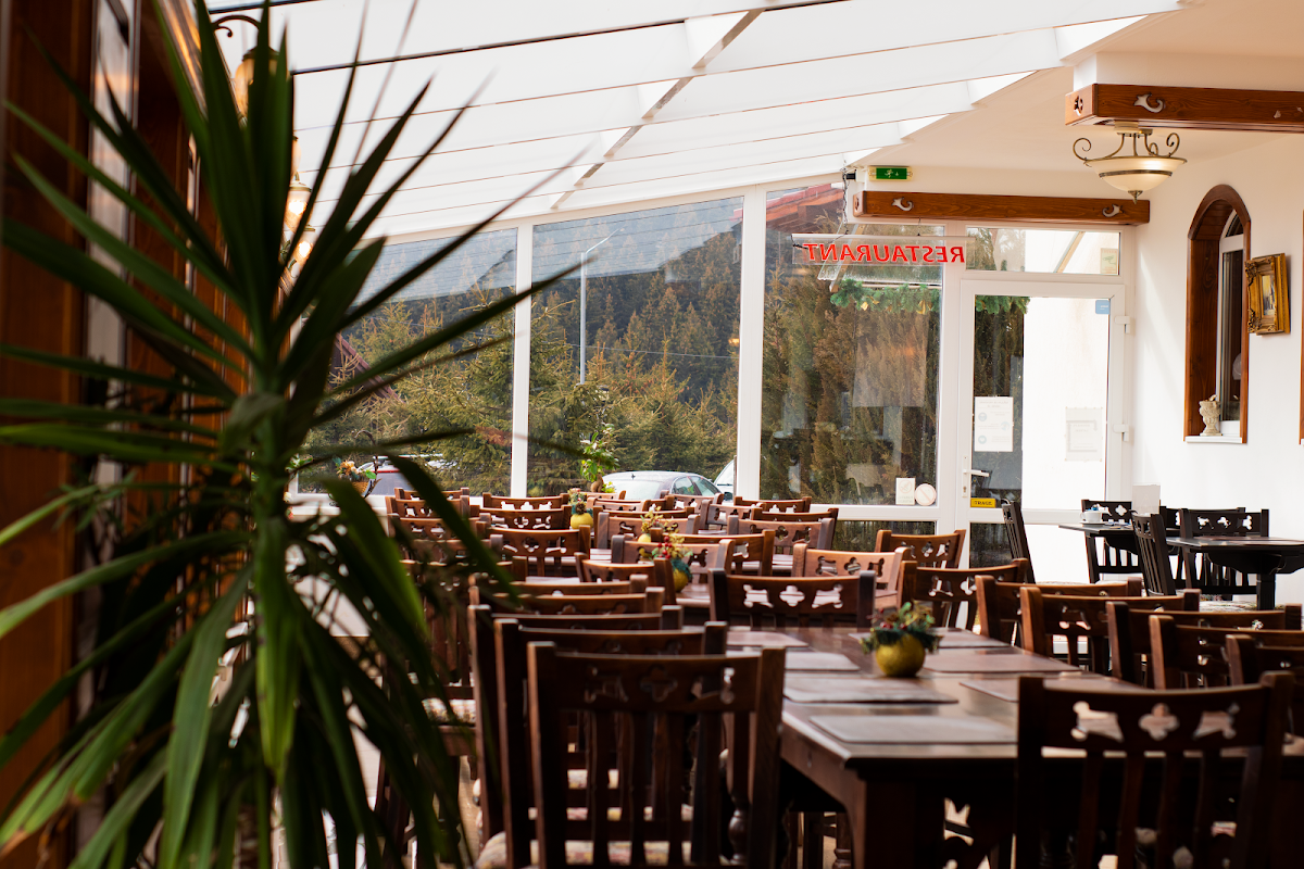 Pensiunea Romantic Paltinis - foto 5