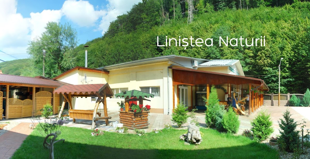 Pensiunea Roua Florilor - foto 3