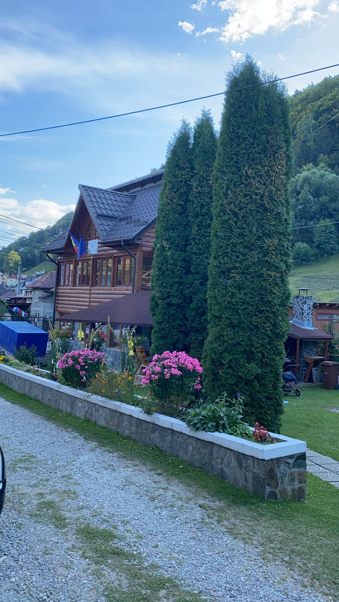 Pensiunea Roxy - foto 4