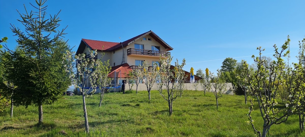 Pensiunea Runcu Stone, Runcu