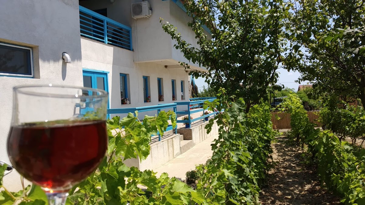 Pensiunea Rustic - foto 4