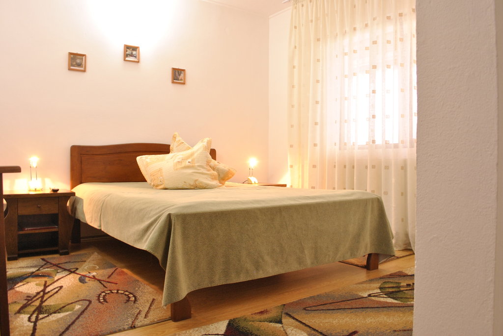 Pensiunea Ruxi - foto 2