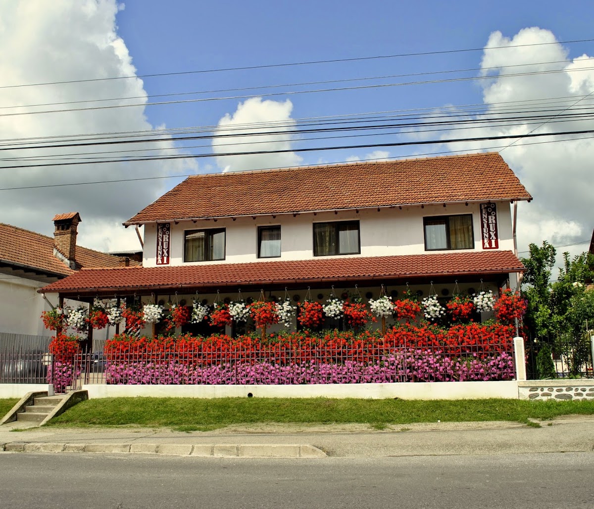 Pensiunea Ruxi - foto 5