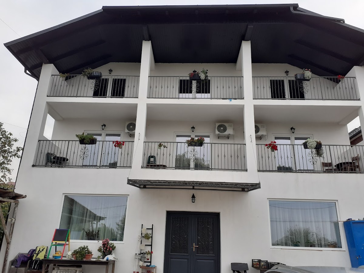 Pensiunea Salcia - foto 1