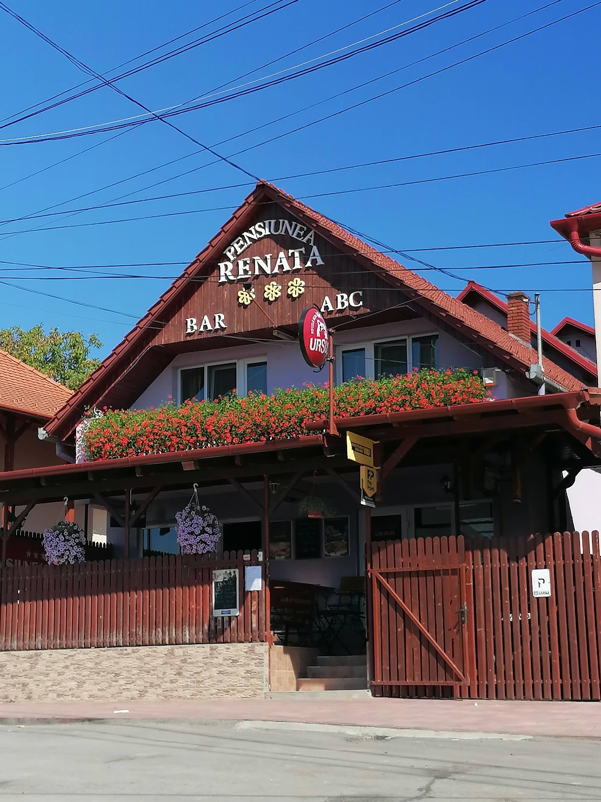 Pensiunea și Restaurantul Renata - foto 3